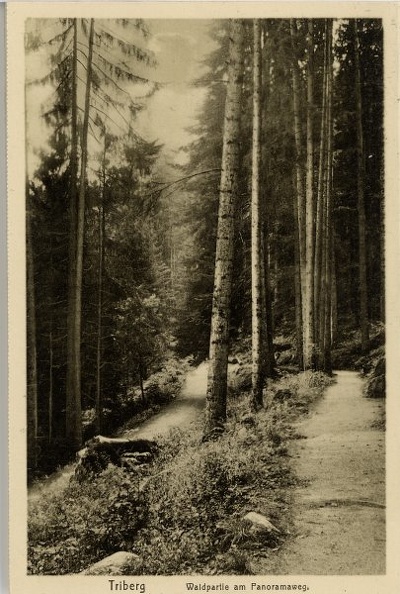 triberg_08.jpg