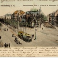 Strasbourg, allée de la Robertsau