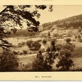 Wolfsthal