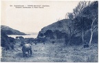 Terre de Haut, chemin conduisant à Pont Pierre