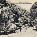 St-Pierre, l'avenue principale du jardin des plantes
