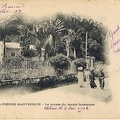 Le musée du jardin des plantes