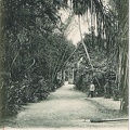 Le Jardin des Plantes