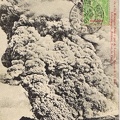 Le Mt Pelé nuée ardente, 16 dec 1902