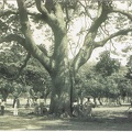 Le sablier de la savane, Fort-de-France