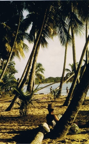 martinique_29.jpg