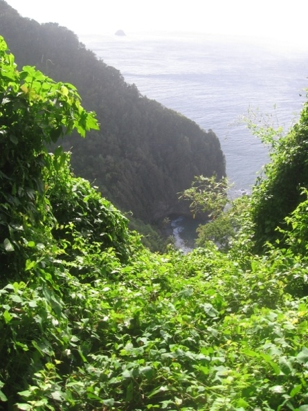 Du Prêcheur vers l'Anse Couleuvre