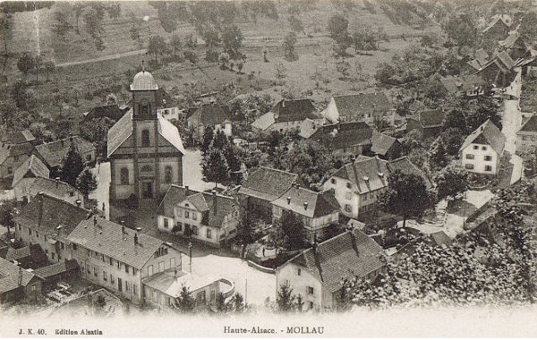 mollau.jpg