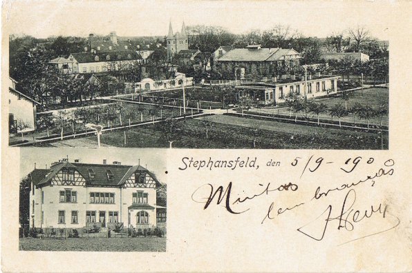 stephansfeld.jpg