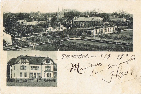 Stephansfeld