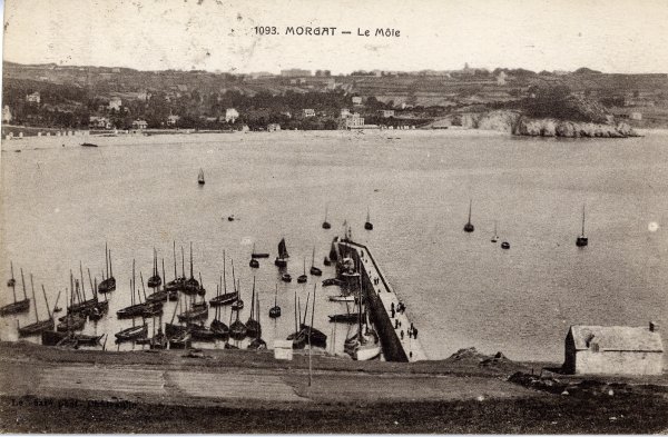 morgat.jpg