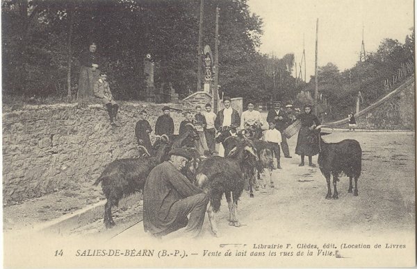 salies-de-bearn.jpg