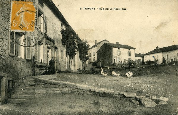 torgny