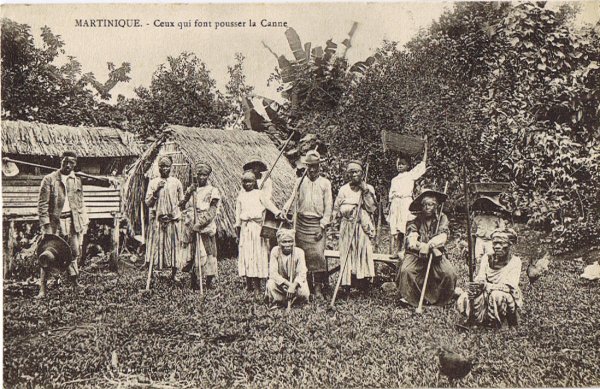 Les travailleurs de la canne à sucre