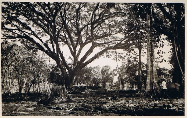 La Martinique