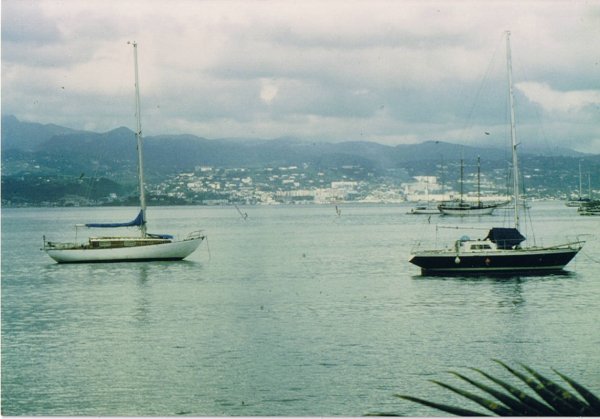 martinique_11.jpg