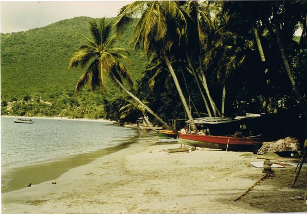 martinique_30.jpg