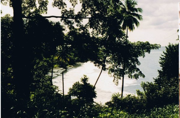 Vue sur Anse Couleuvre